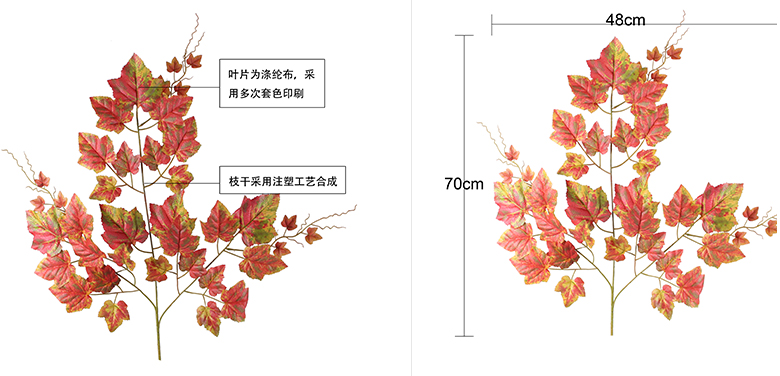 移印秋提子葉